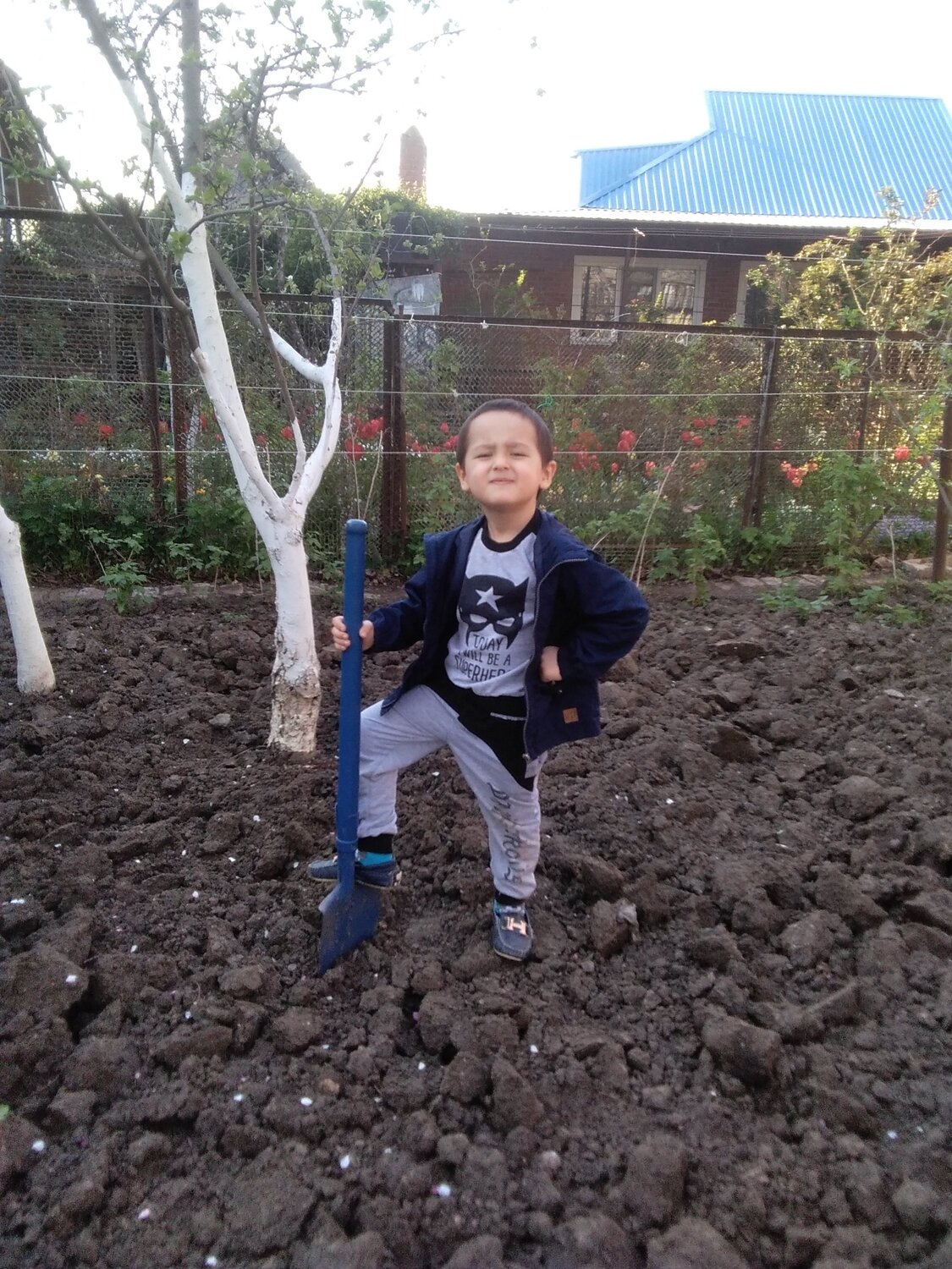 Photo #4652449