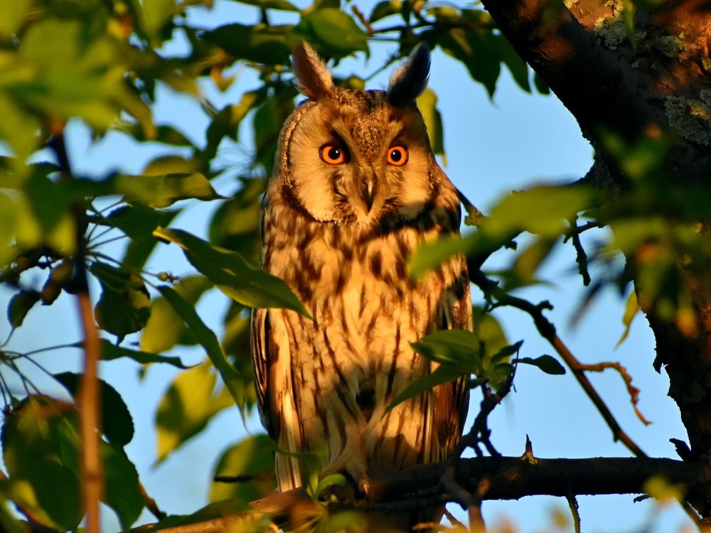 Photograph by Наталья Аржинт