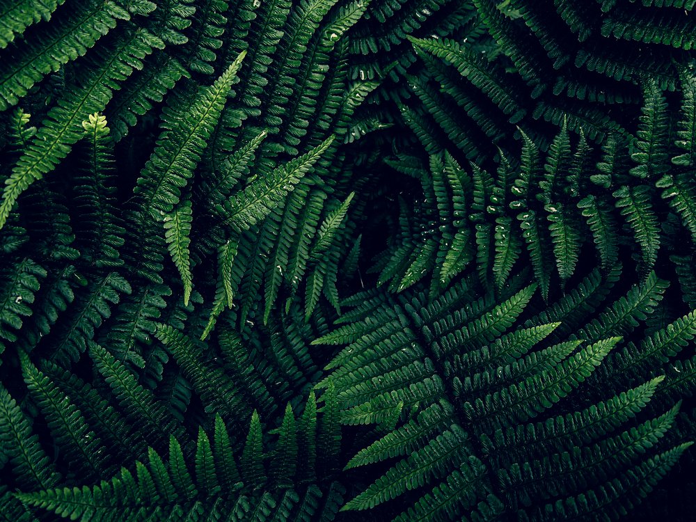 Photograph by Zsolt Noszkó