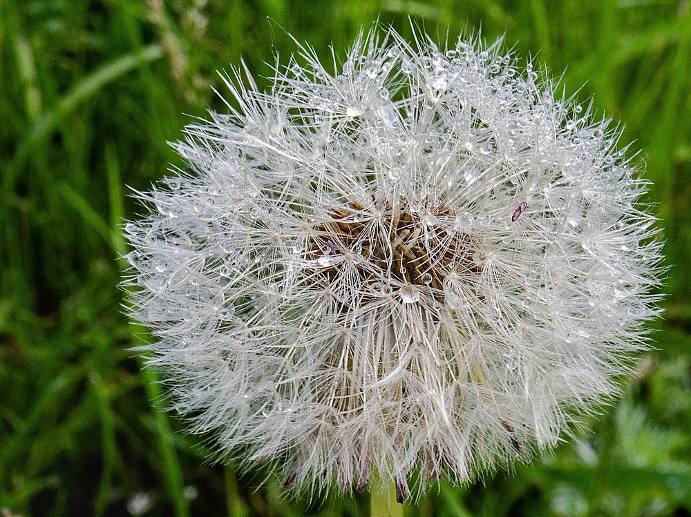 Photograph by mikhail goryachev