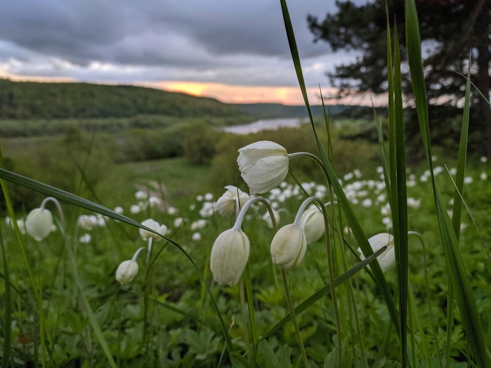 Photograph by Наталья Егорова