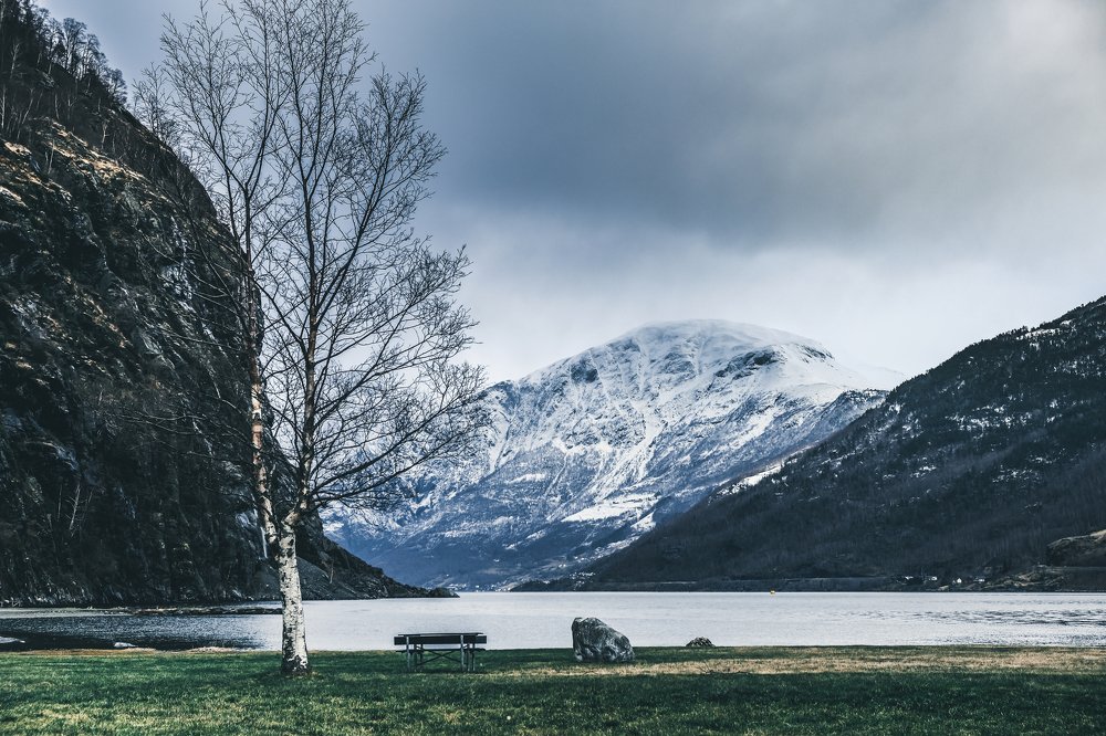 Photograph by Masha Turova