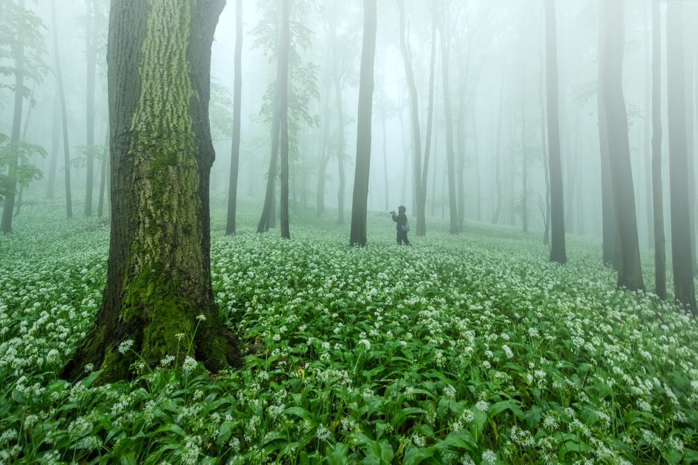 Фотография автора Adam Kováč