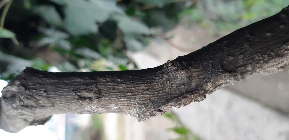 Photograph by Jhonatan Peralta