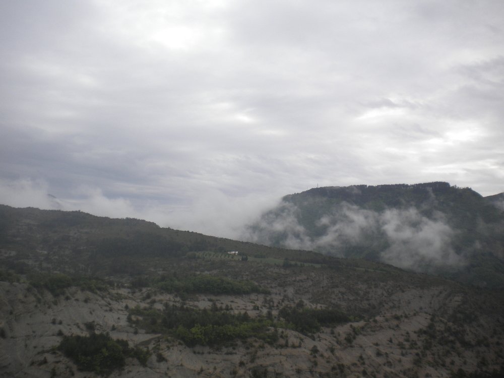Photo #4652721