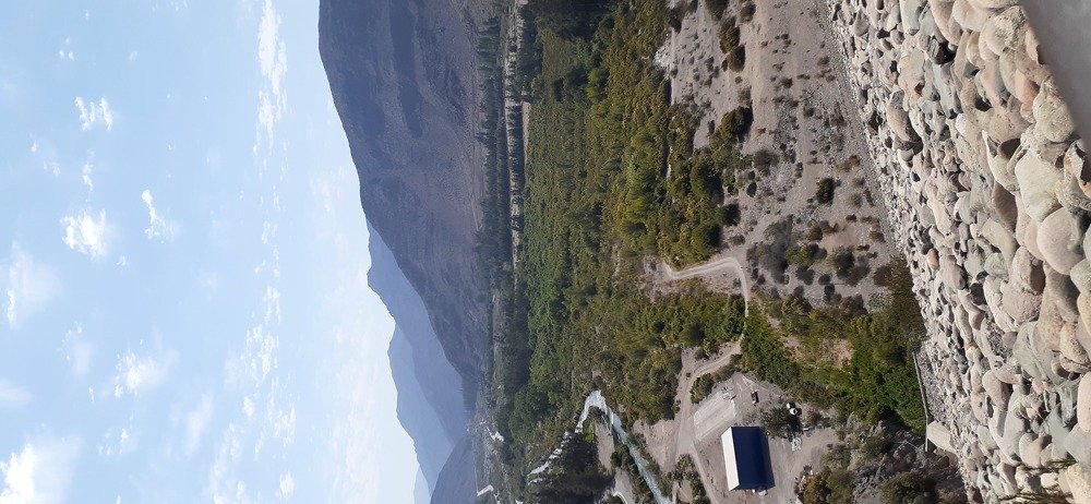 Photo #4652792