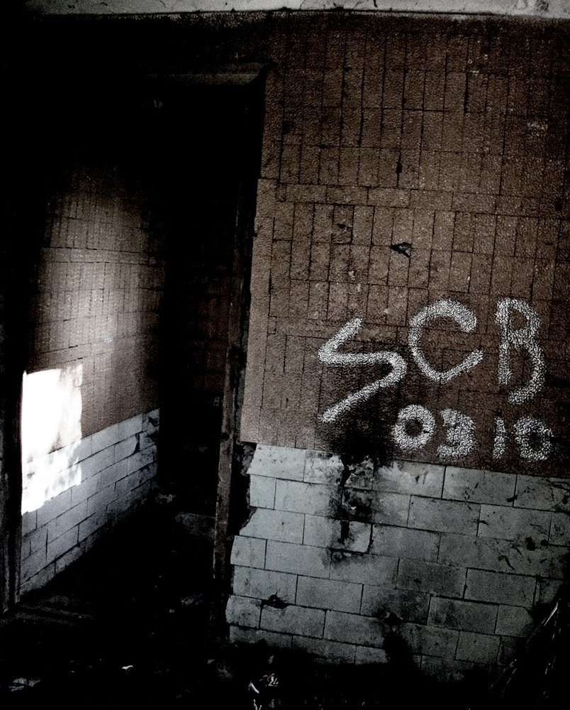 Photograph by Евгений Бригиневич - Снежин