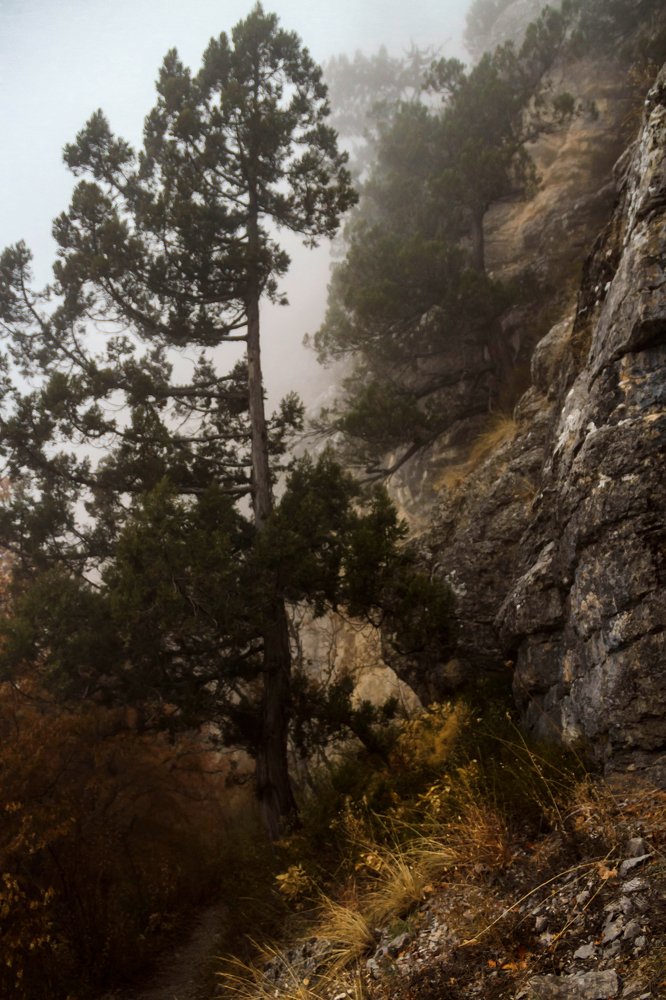 Photograph by Игорь Сидун