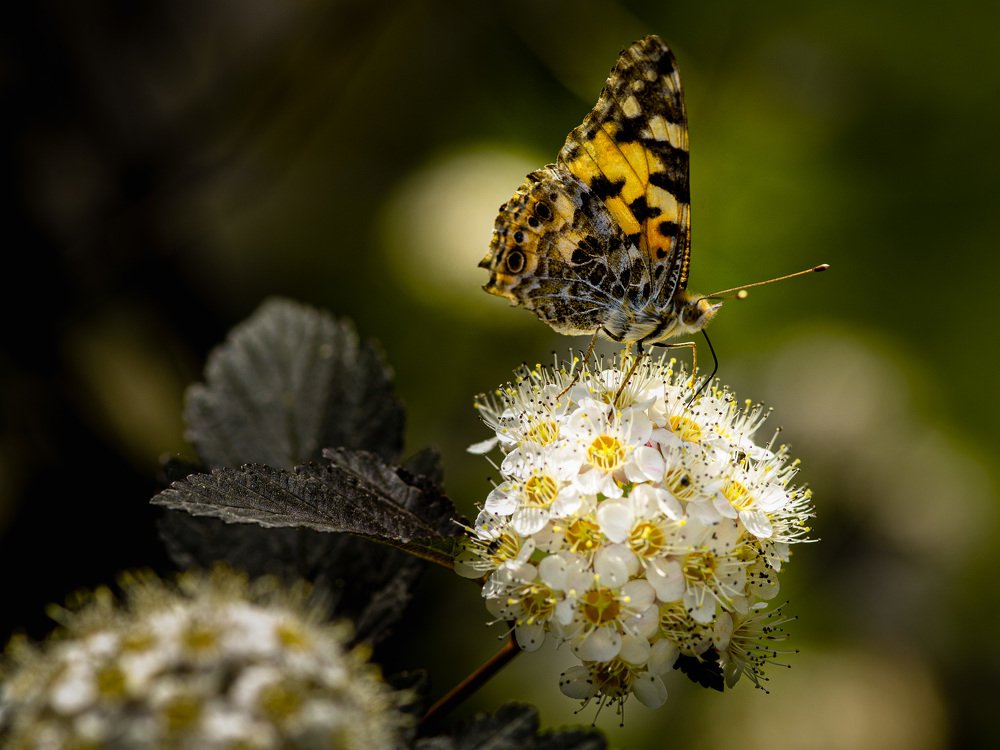 Photograph by Дмитрий Крючков