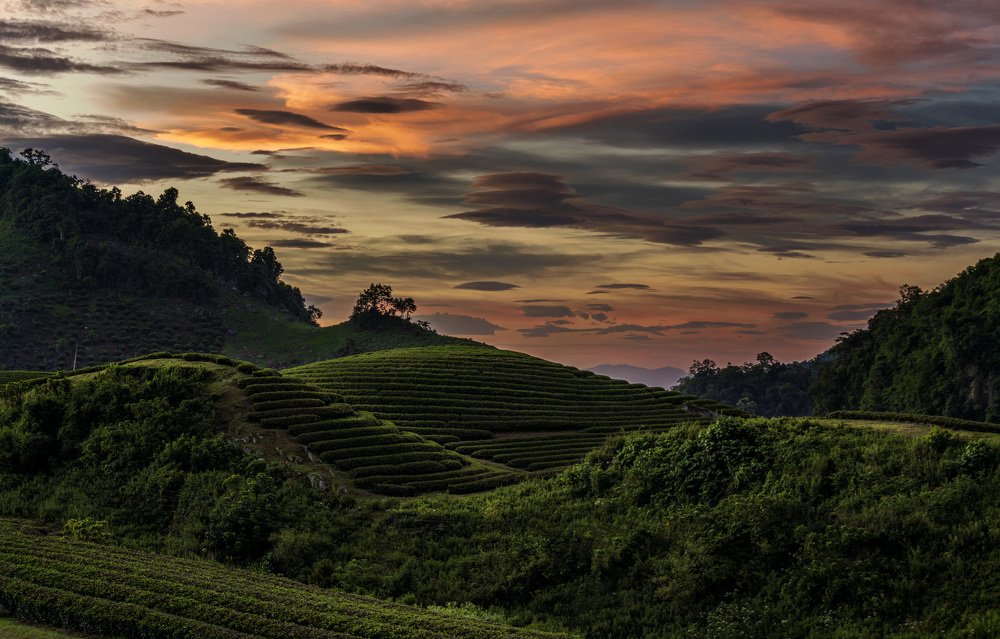 Photograph by DO DUC MINH