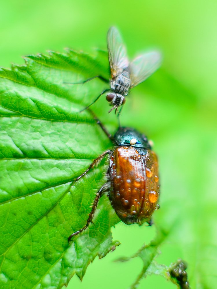 Photograph by Сергей Глухарев