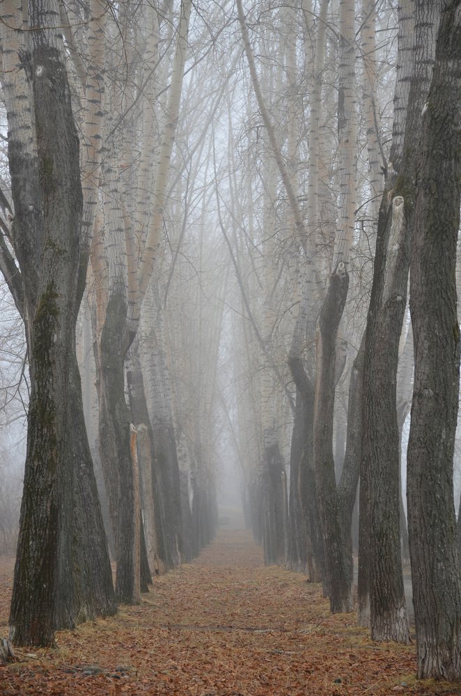 Photograph by Pavel SidorOFF