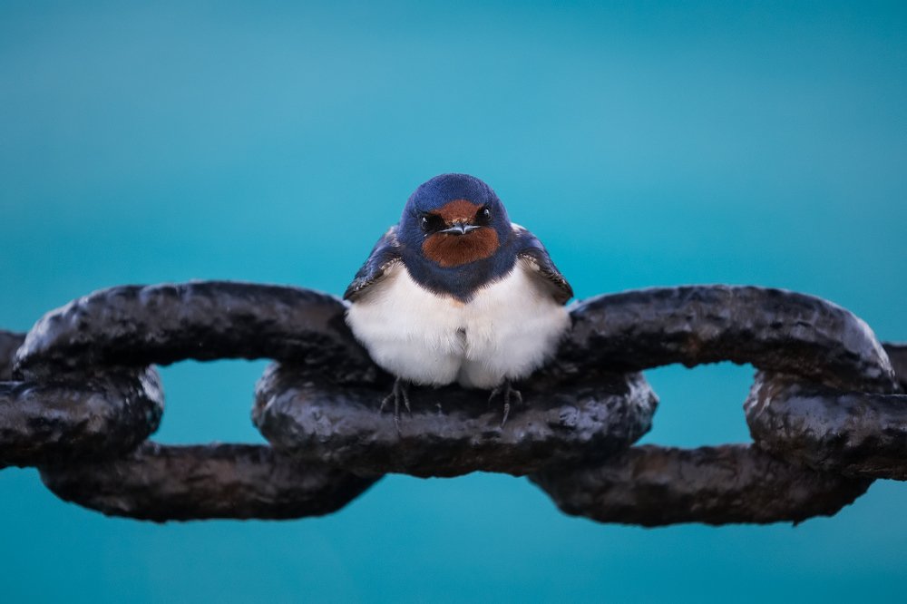 Photograph by Валерий Притченко