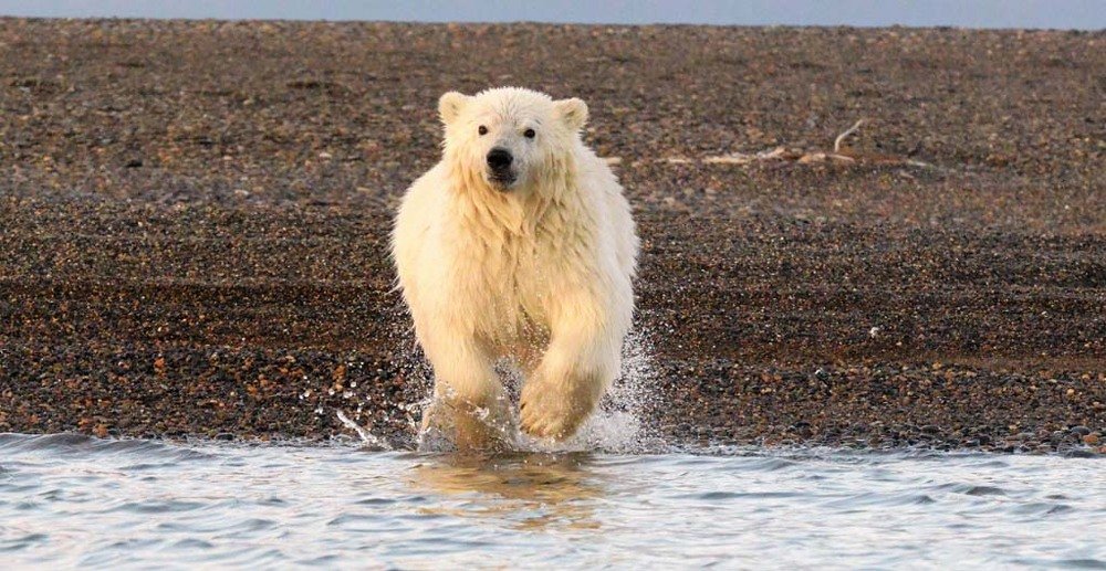 Photograph by Nirmalya Chakraborty