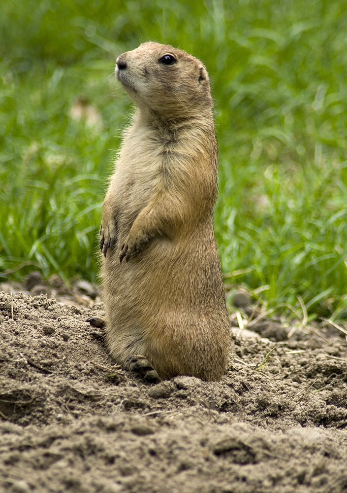 Photograph by Ирина Шумахер