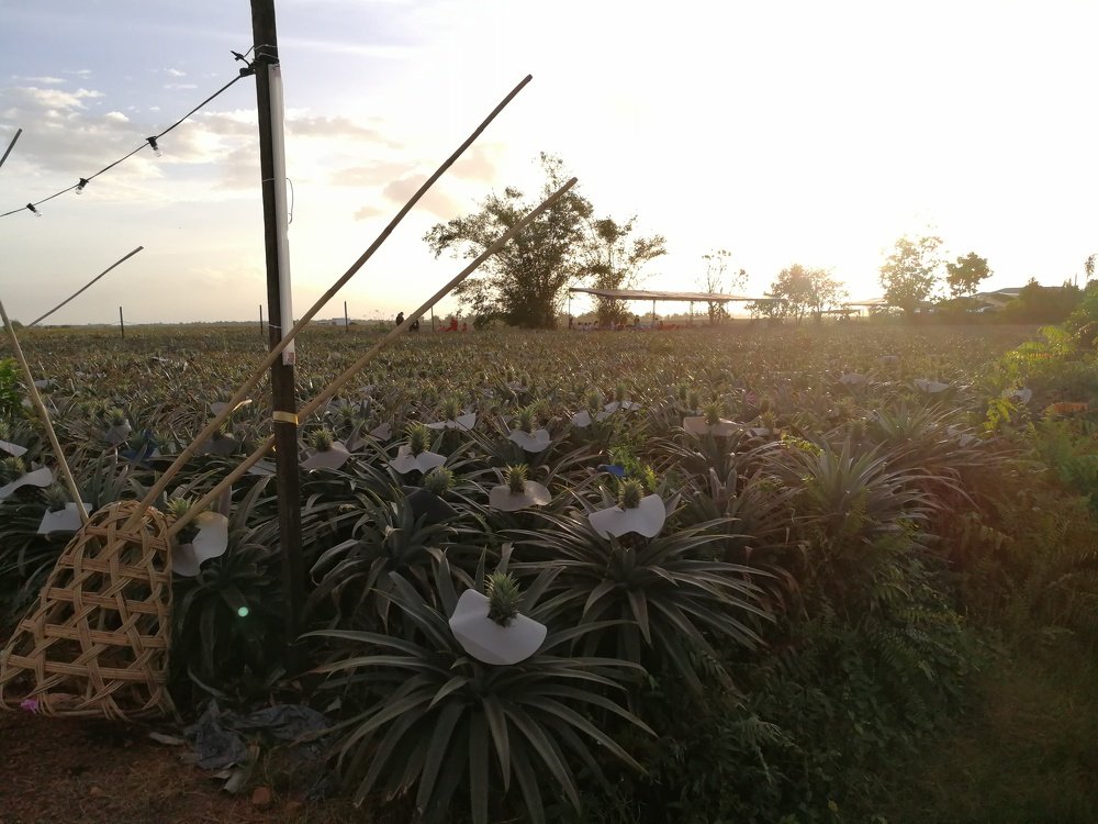 Photograph by Chia Teck Kang