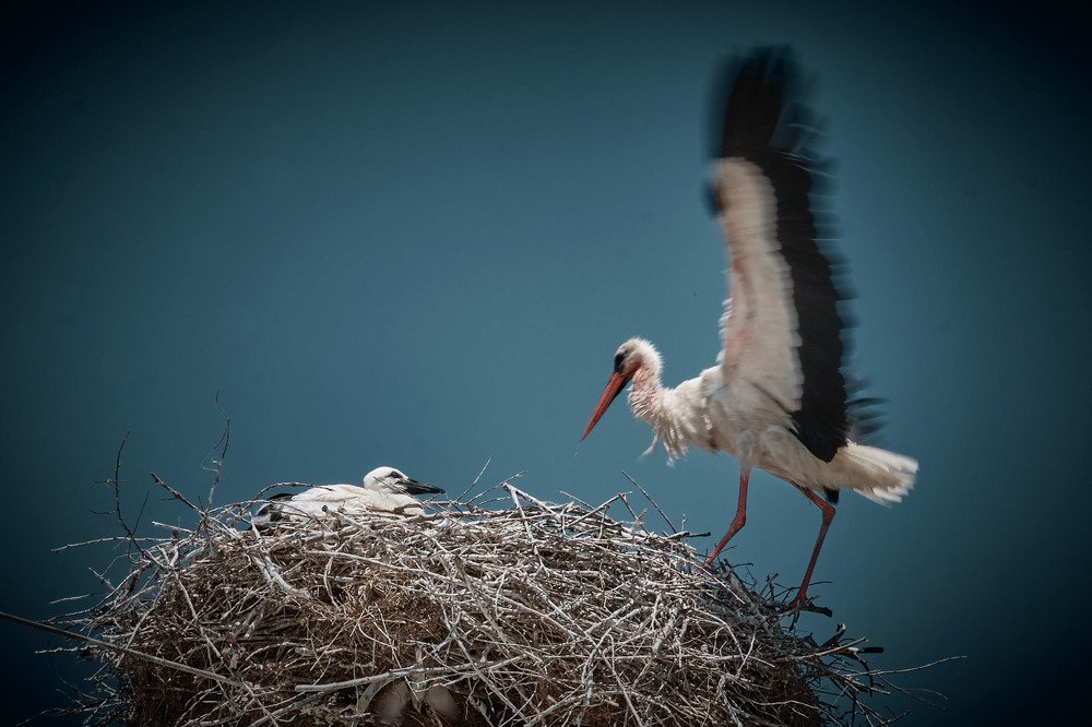 The greatness of nature