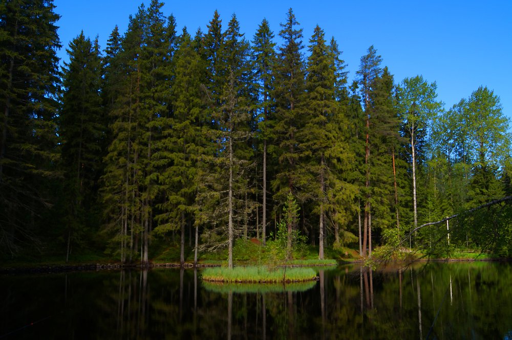 Фотография автора Юрий Цыркунов
