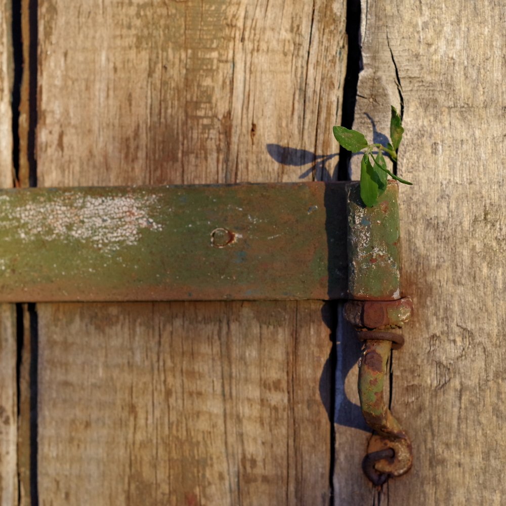 Зелёный цвет