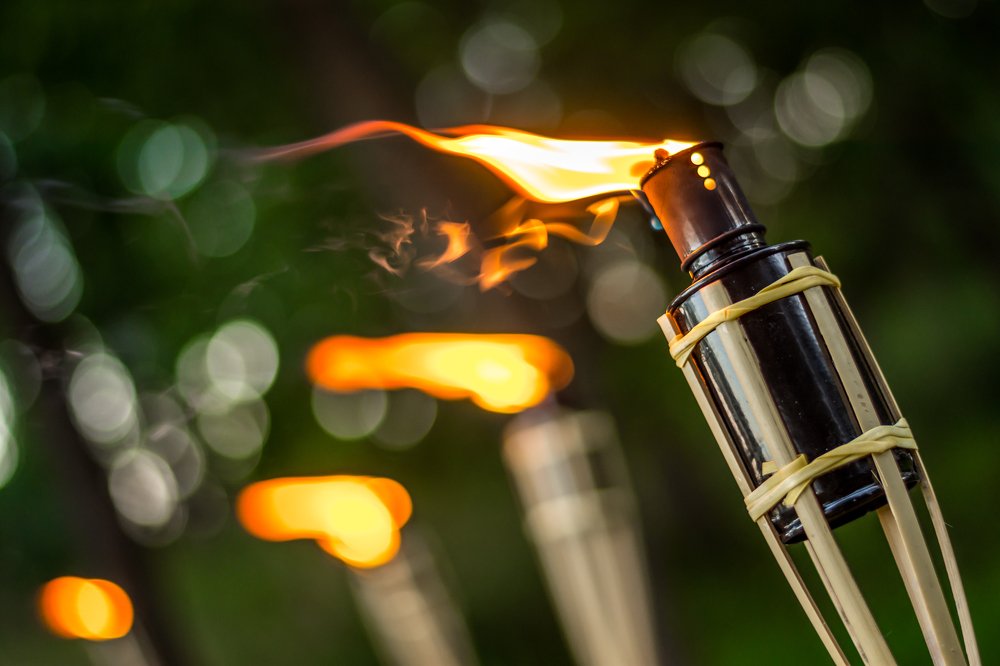 Photograph by Tim Fialka