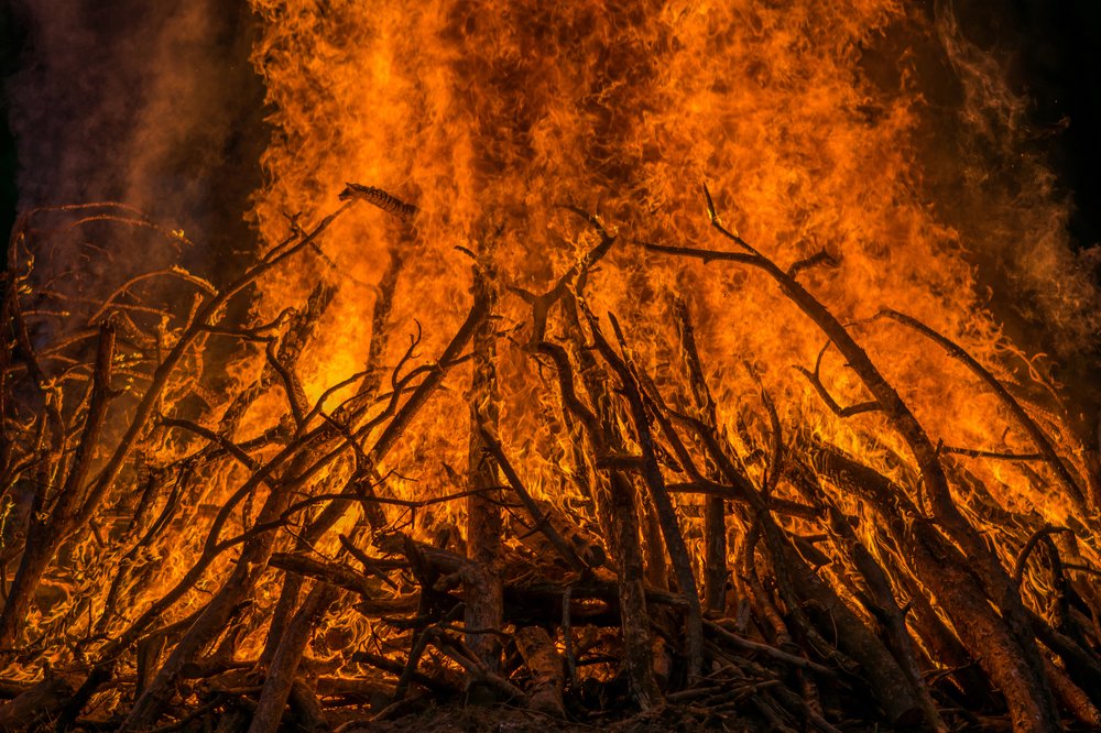 Photograph by Tim Fialka