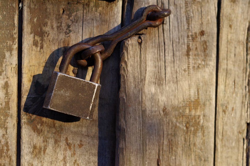 Photograph by Сергей Челахов