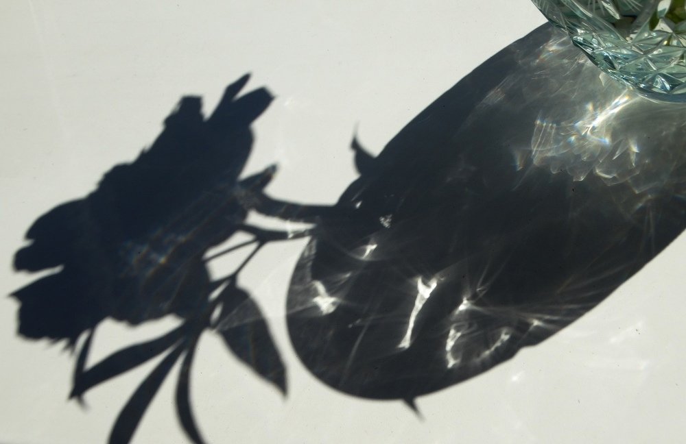 Photograph by Анжелика Трошина