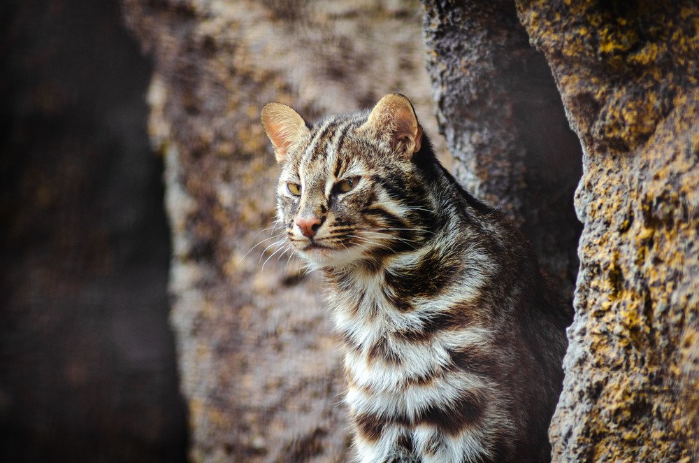 Photograph by Денис Кичев