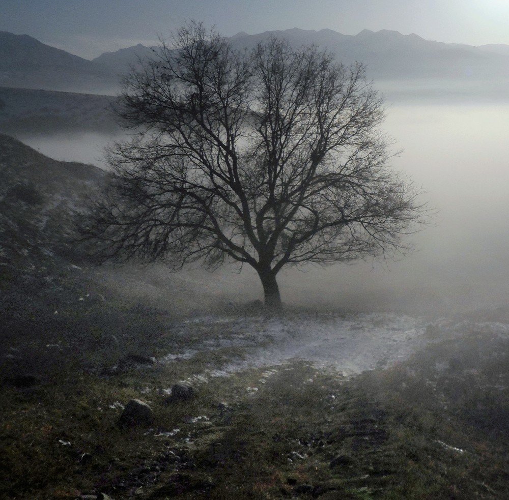 Photograph by Орынбек Асилбаев