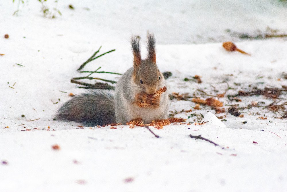 Photograph by Денис Кичев