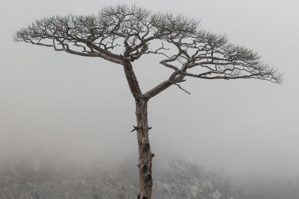 Былое величие.