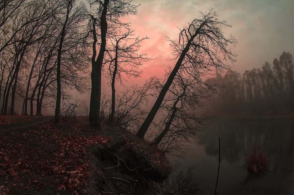 Осенние фантазии