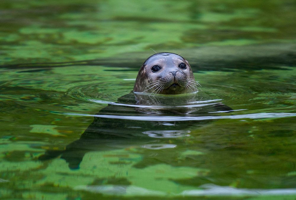 Photograph by Юлия Борт
