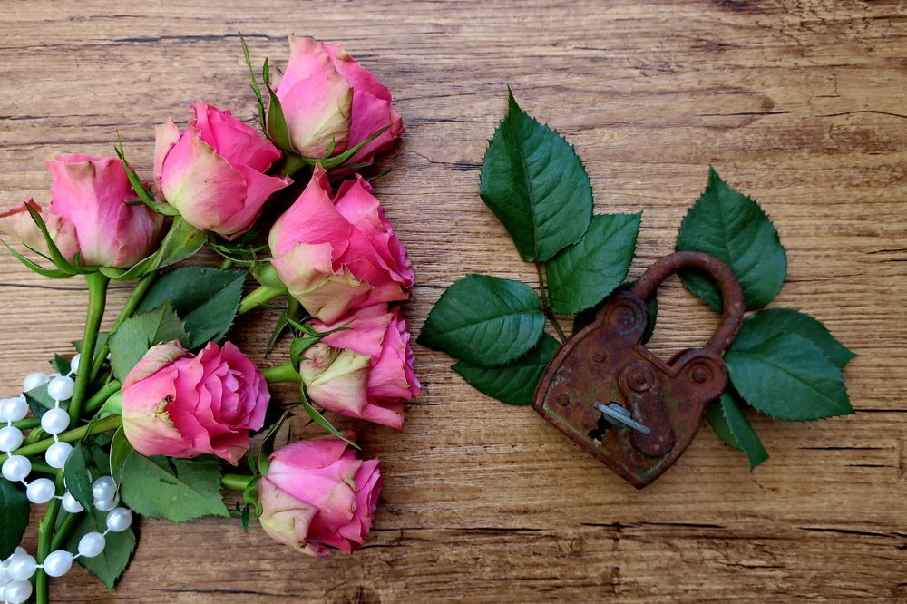 Фотография автора Regina Belomytseva-Dahan