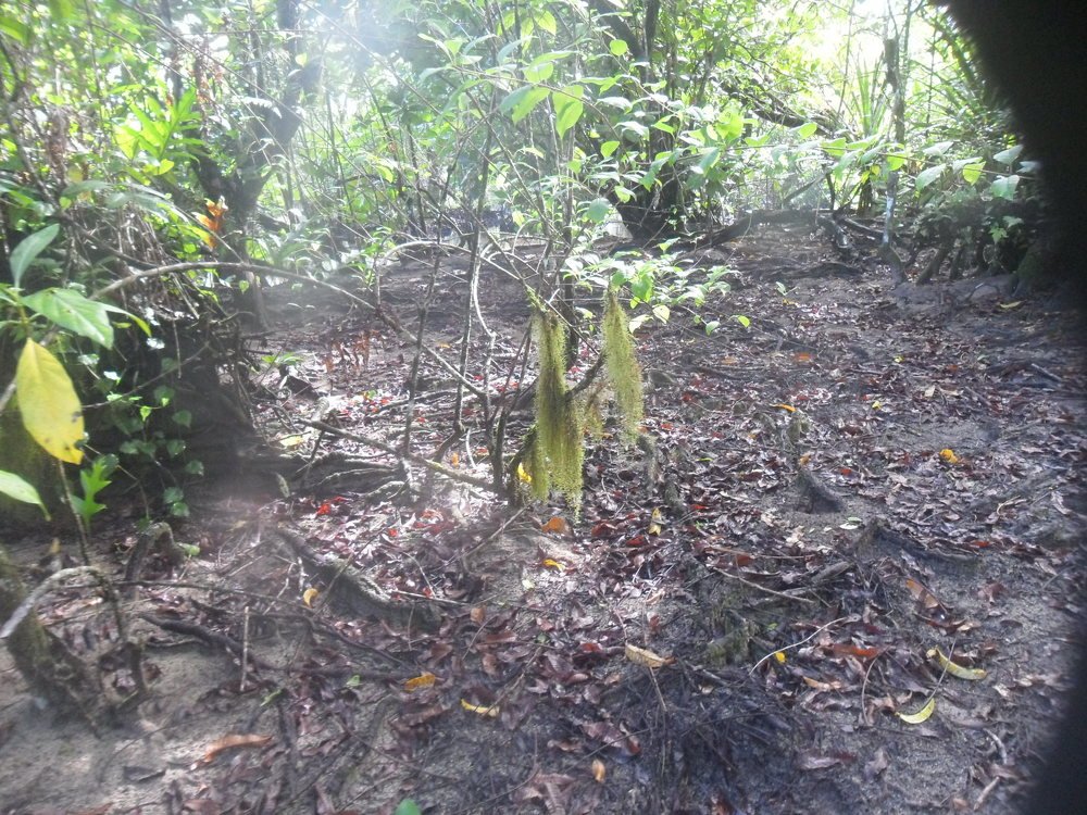 Photo #4653703