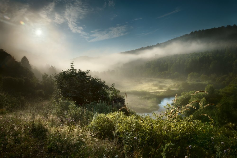 Июльское утро