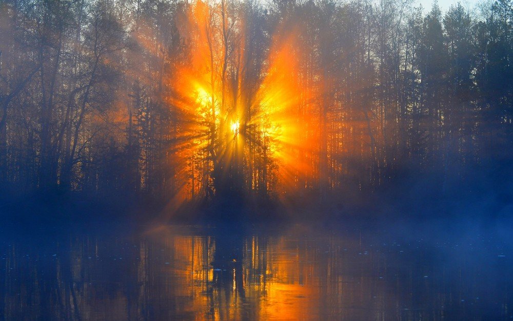 Photograph by Михаил Рудиков