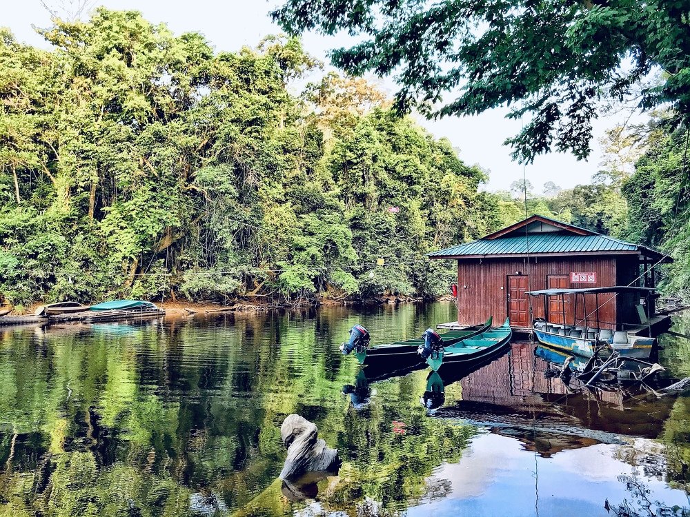 Taman negara National park Malaysia