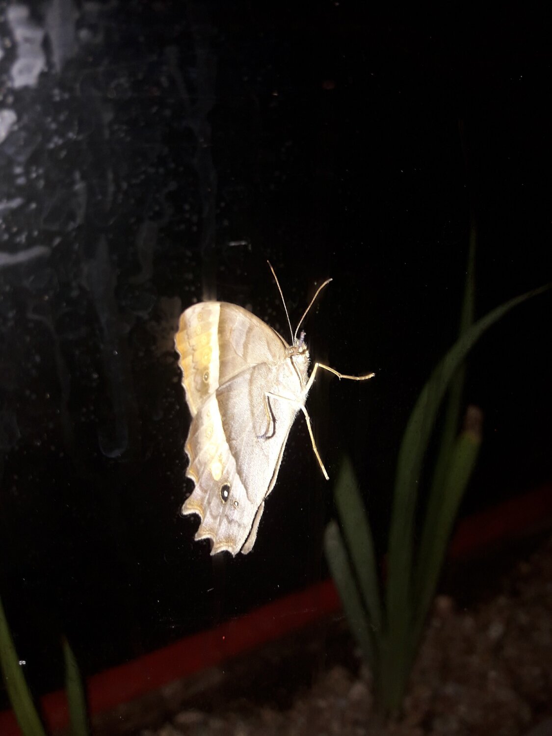 Photo #4653899