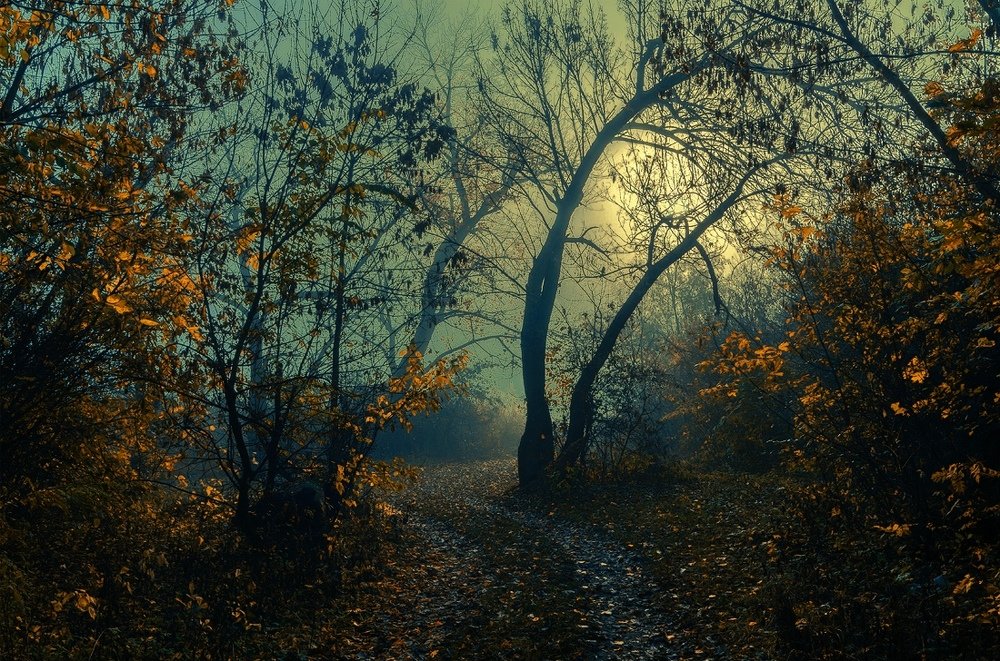 Photograph by Сергей Ковтуненко