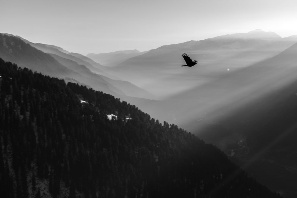 Photograph by Mandeep Singh