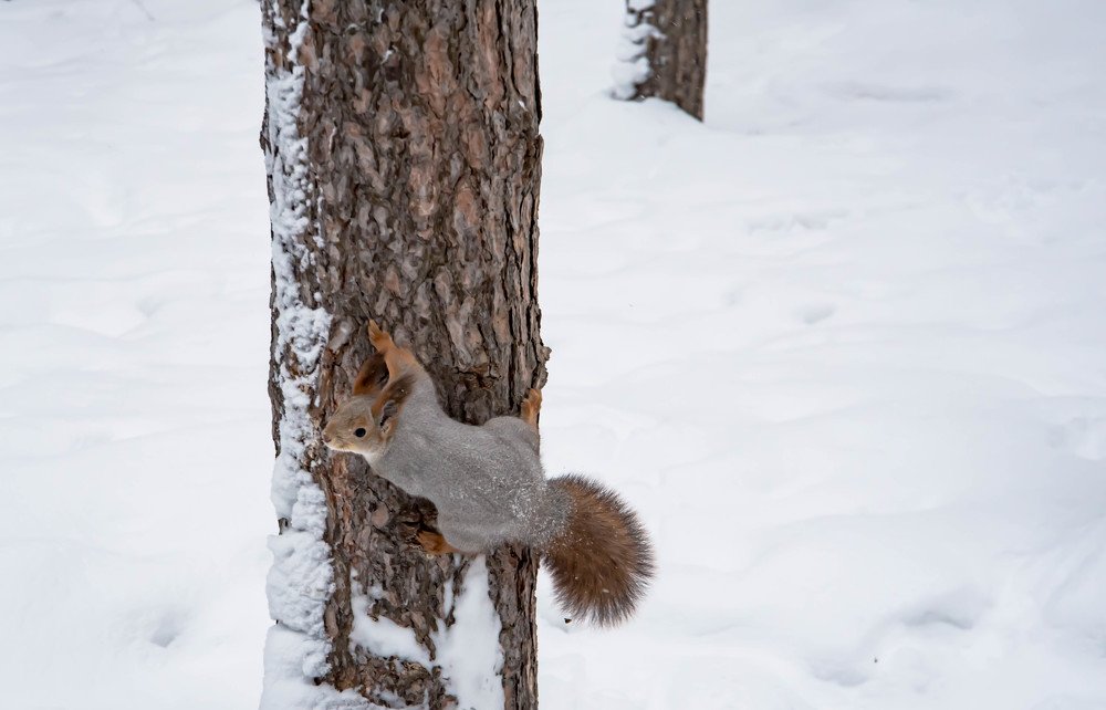 Photograph by Елена Прохорова