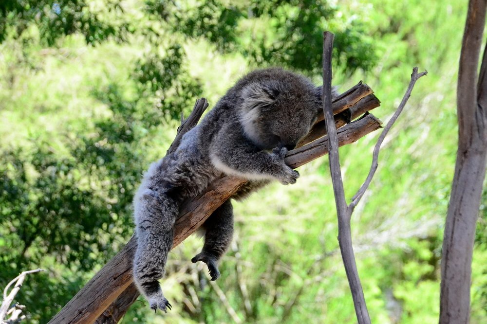 Photograph by Lola Vierse