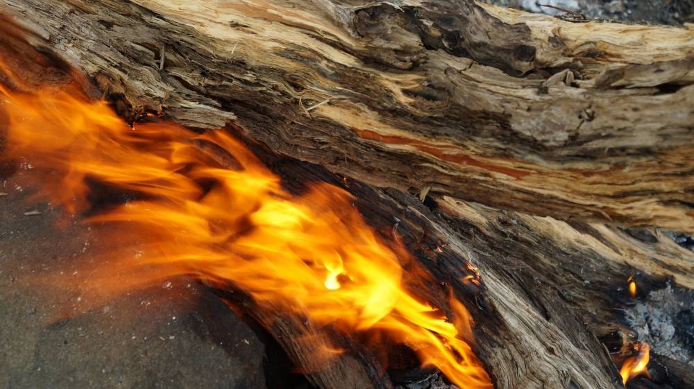 Photograph by Иван Кирилков