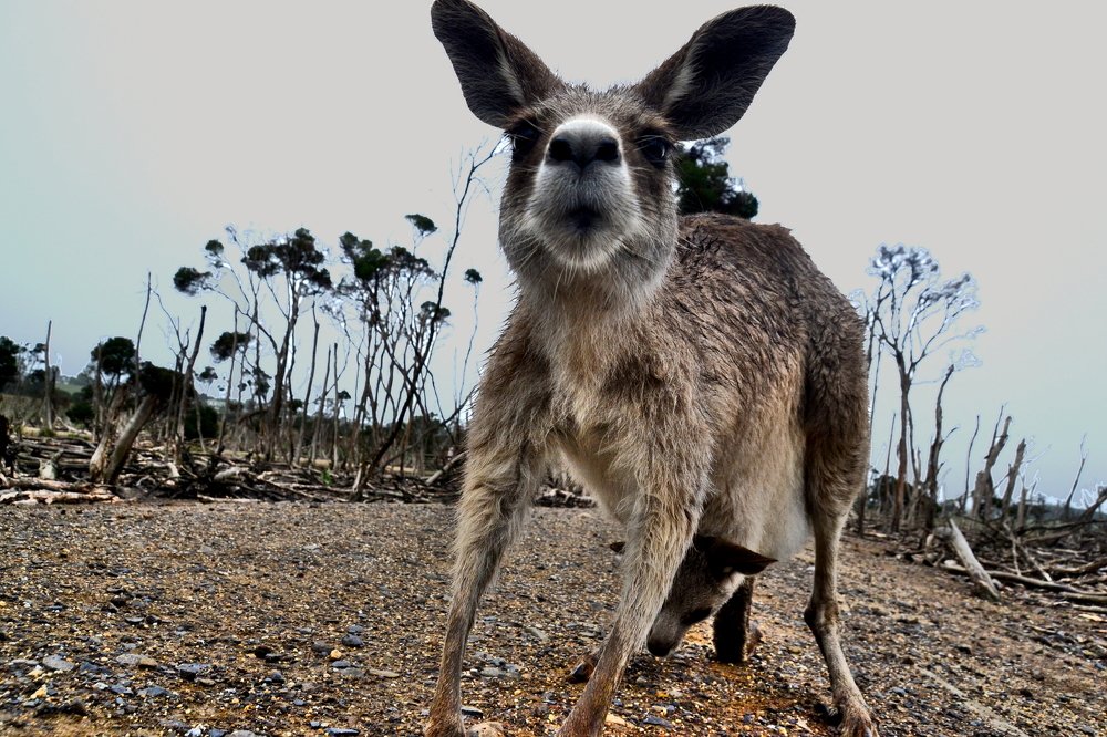 Photograph by Lola Vierse