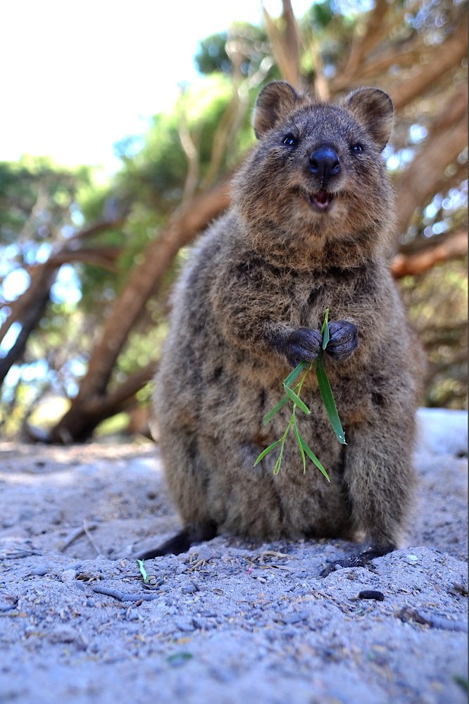 Photograph by Lola Vierse