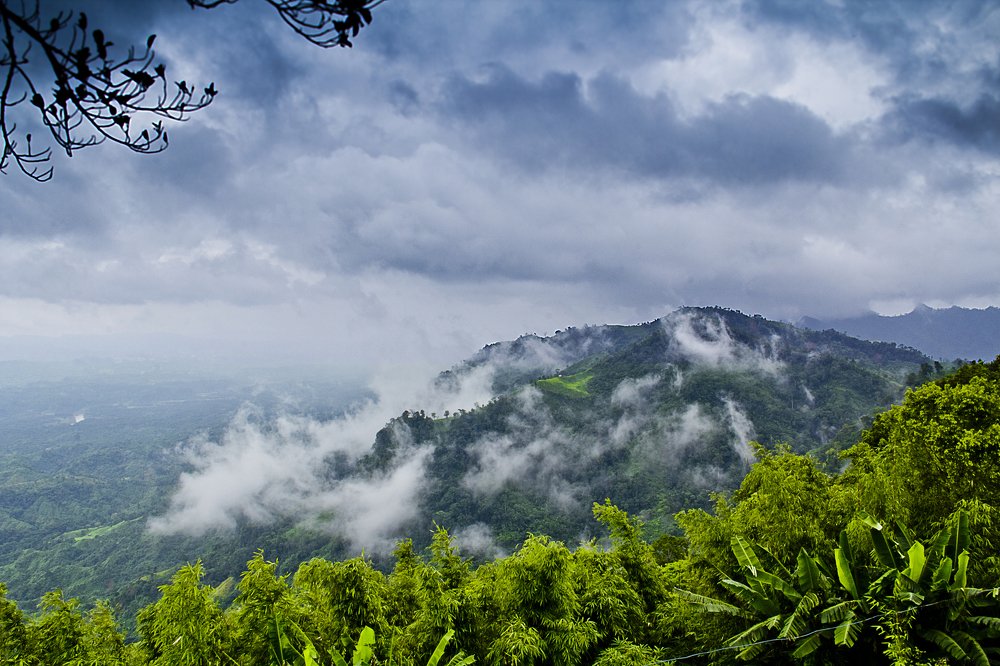 Photograph by Md Shamsul Haque Suza