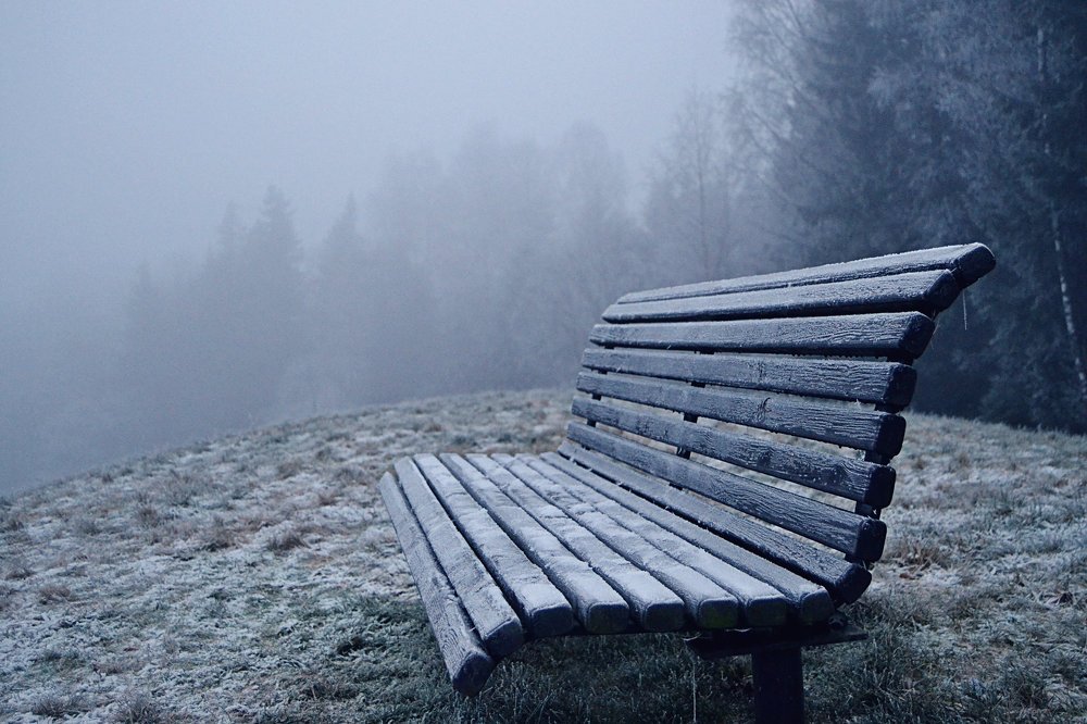 Photograph by Lola Vierse