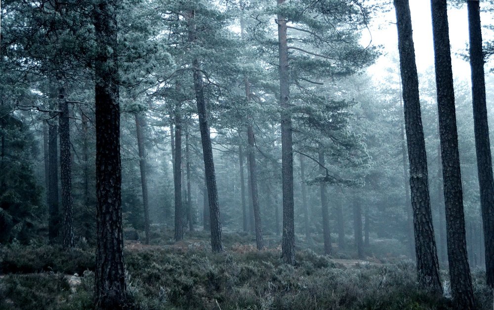 Photograph by Lola Vierse