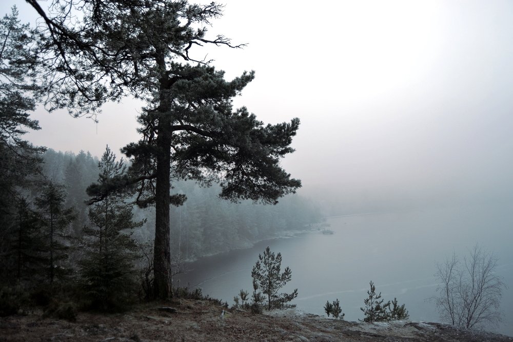 Photograph by Lola Vierse